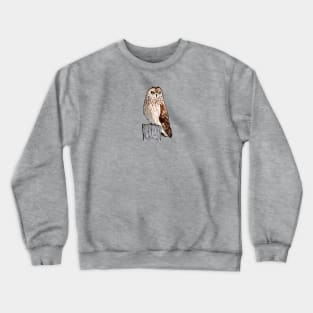 Short-eared Owl Crewneck Sweatshirt